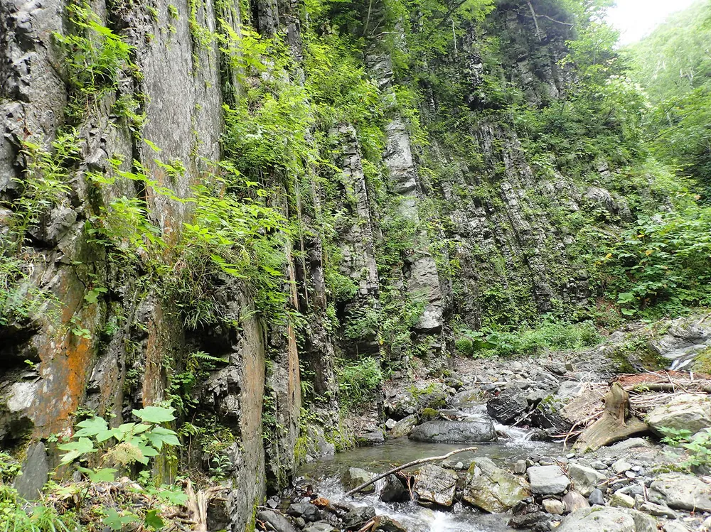 白亜紀前期の海洋生物絶滅、原因は海底噴火 芦別岳の調査で特定 東北大など研究グループ：北海道新聞デジタル