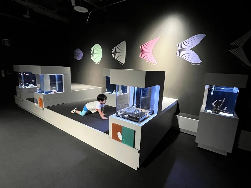 【プレゼント】都市型水族館「AOAO SAPPORO」入館チケットをペア３組に