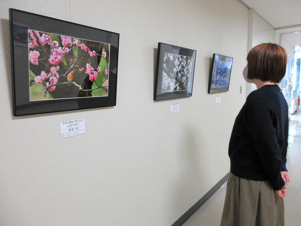 自然や動植物、力作が並ぶ　　清田区民センター「ギャラリー写真展」22日まで