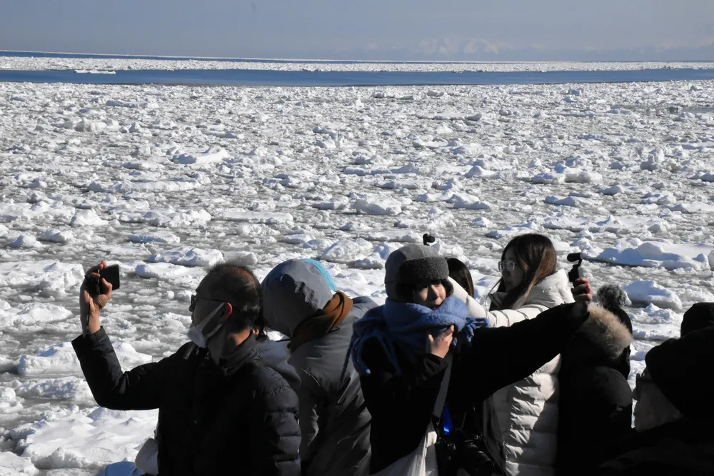 流氷帯「広くてきれい」 網走・砕氷船「おーろら」初便満員：北海道新聞デジタル