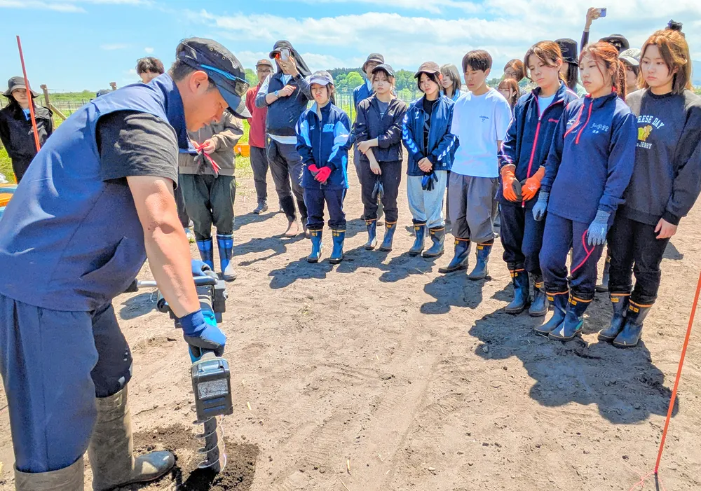 理科大生と札幌市立大生ら30人、八雲でブドウの苗植え体験：北海道新聞