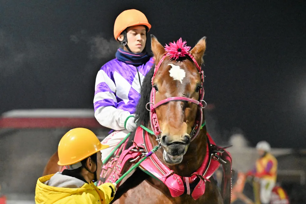 ３月8日のレース紹介　第47回ポプラ賞＜ばんえい競馬＞