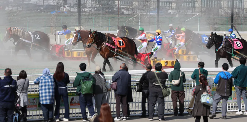 舞う砂煙、ばん馬に声援 帯広でばんえい競馬開幕：北海道新聞デジタル