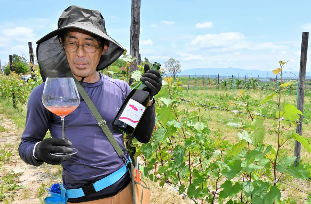 沼田産ブドウで2例目ワイン　協力隊員・長岡さんら栽培　「香り途切れない」5日試飲会