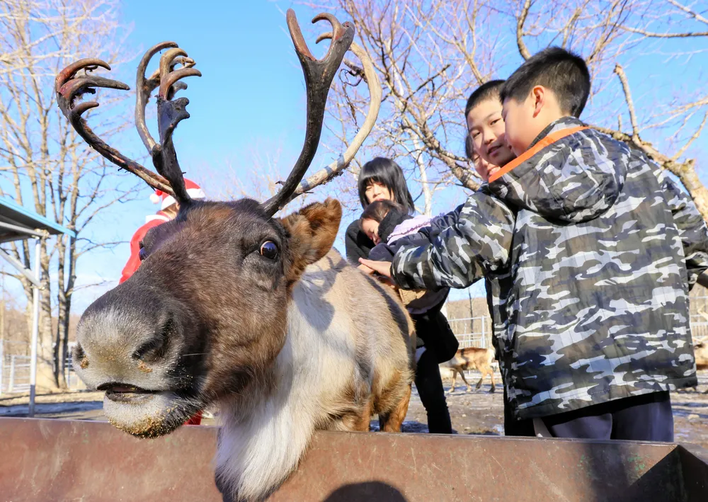 9e7bb54d7df57fcd267f3e8dbb6ae7