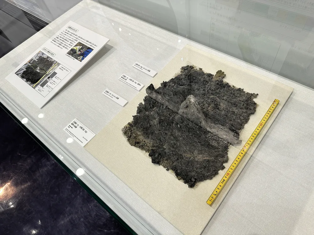 浦幌町の「Ｋ／Ｐｇ境界層」のはぎ取り標本（北海道博物館提供）