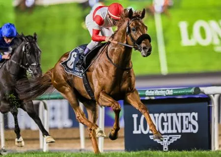 フォーエバーヤングは3着 競馬のドバイ・ワールドカップ：北海道