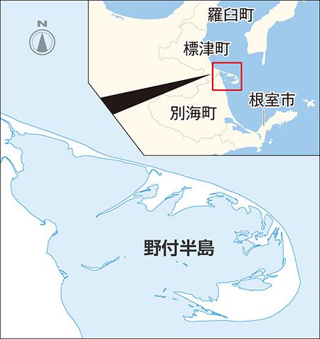 鹿の角　対馬鹿② 多摩動物公園：雌のシカに角 研究者が注目 | 毎日新聞