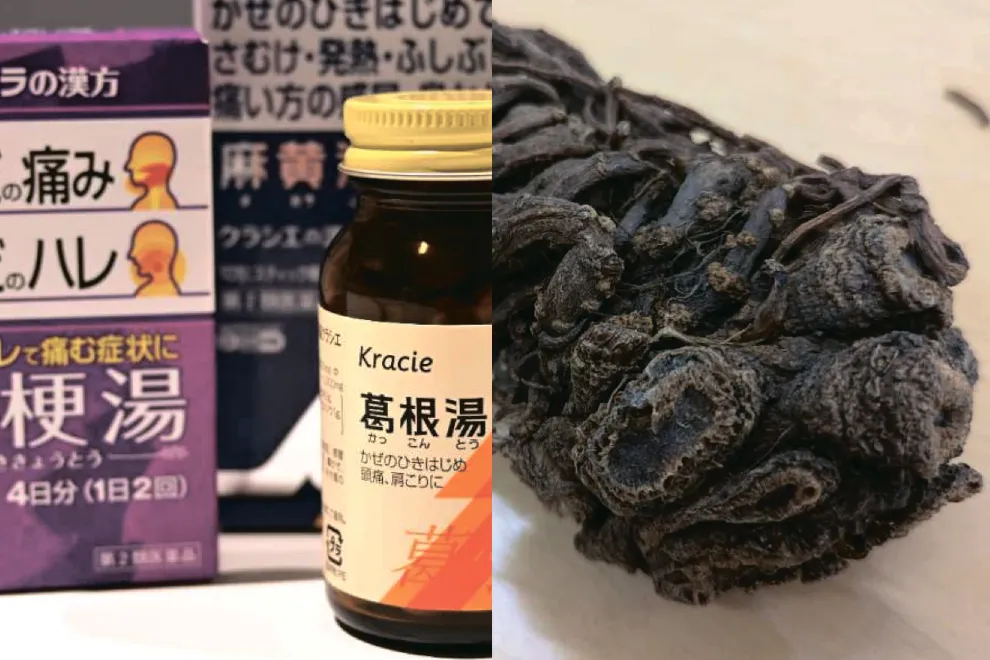 漢方薬人気も、国産原料は1割だけ 大半を中国に依存、生薬生産拡大へ