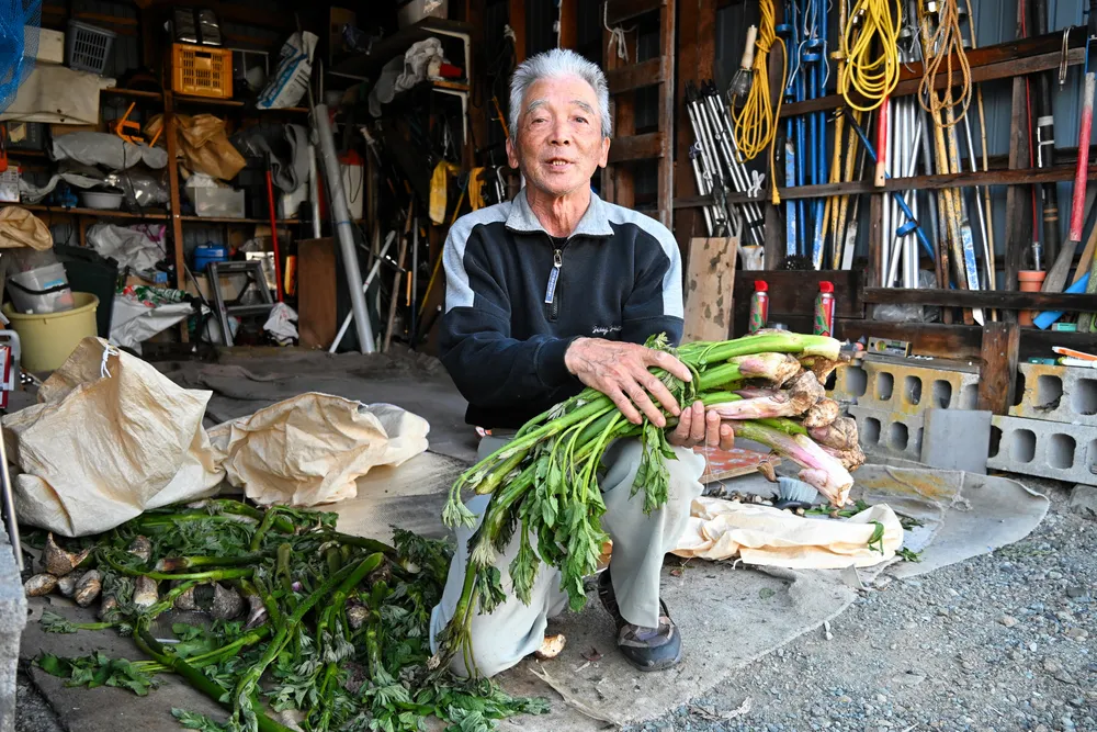 覆いかぶさるヒグマ 何度も顔殴り撃退 士別で山菜採りの78歳男性、けが