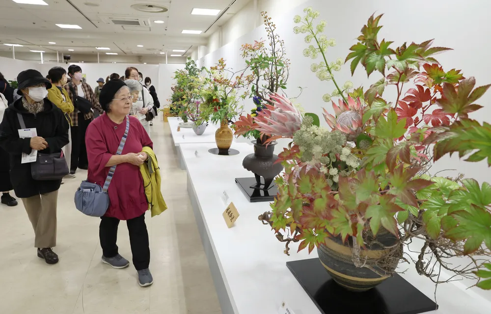 全道いけ花美術展、丸井今井札幌で開幕　11流派、計228点出品　5日まで
