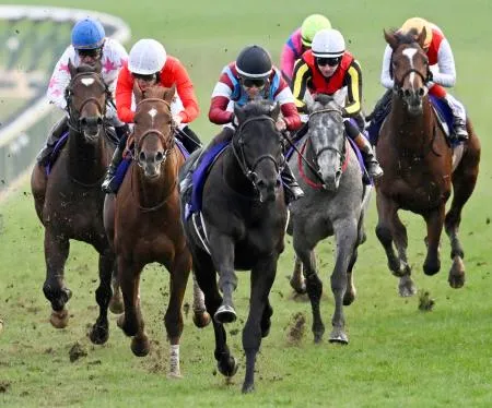 競馬、ロブチェンが重賞初制覇 G1のホープフルS、7番人気：北海道新聞