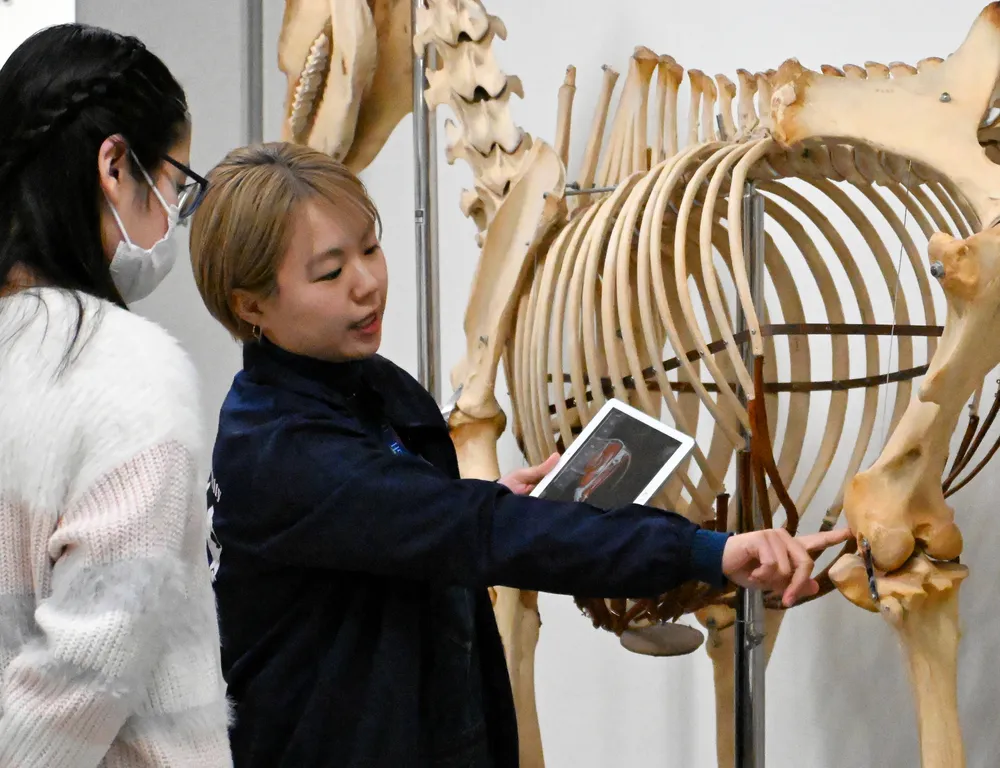 ペットのお医者さん」だけじゃない 獣医学部の研究、子どもに発信 北大