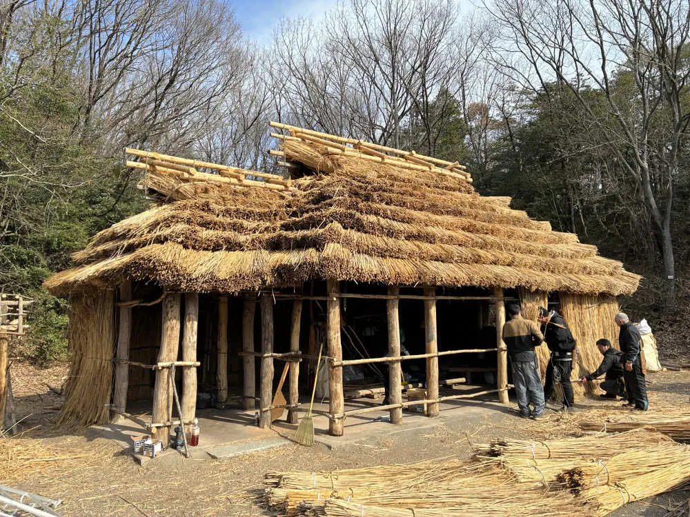 萱野茂さん建築のチセ、二風谷の職人が修復 愛知の博物館 生誕100年