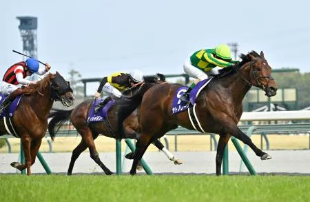 高松宮記念、サトノレーヴ2連覇 競馬のG1：北海道新聞デジタル