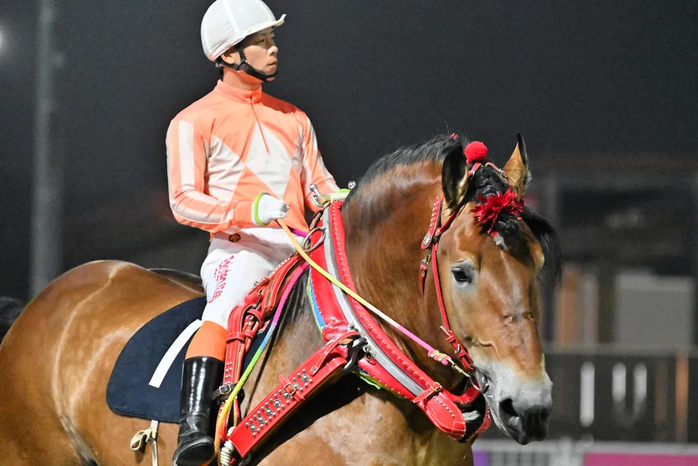 ばん馬の戦場―北海道ばんえい競馬追跡行 (MIZUKI NONFICTION S 71voYe2CbKL._UF350,350_QL50_.jpg