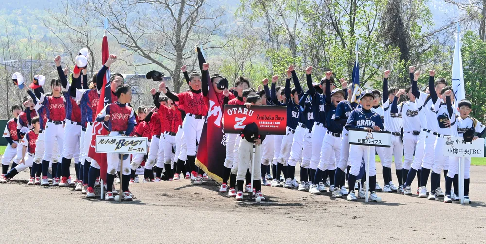 「小学生の甲子園」へ熱戦　少年軟式野球、小樽支部大会始まる