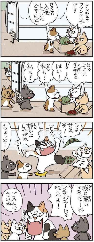 ねえ、ぴよちゃん（２３５４）：北海道新聞デジタル