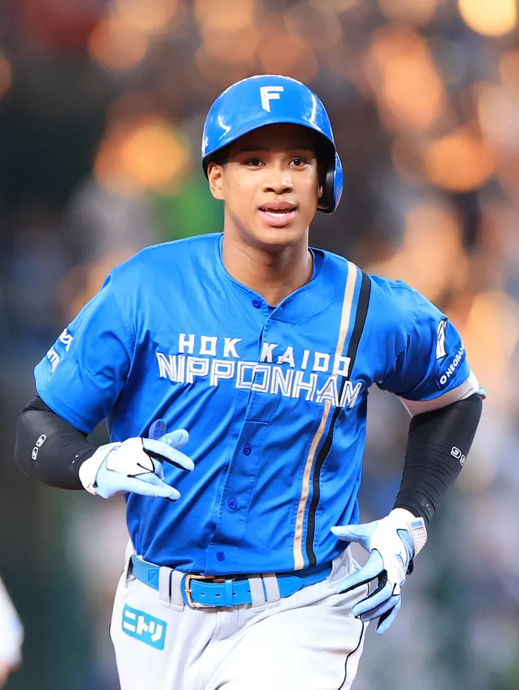 日本ハム 北海道新聞 グラフィックス ・道新スポーツ優勝記念本 8冊セット 日本ハム 北海道新聞 グラフィックス ・道新スポーツ優勝記念本