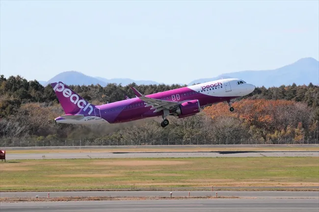 ピーチ、新千歳発着の4便欠航 機材整備で：北海道新聞デジタル