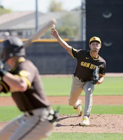 ダルビッシュ奪三振 実使用ボール 【公式通販】