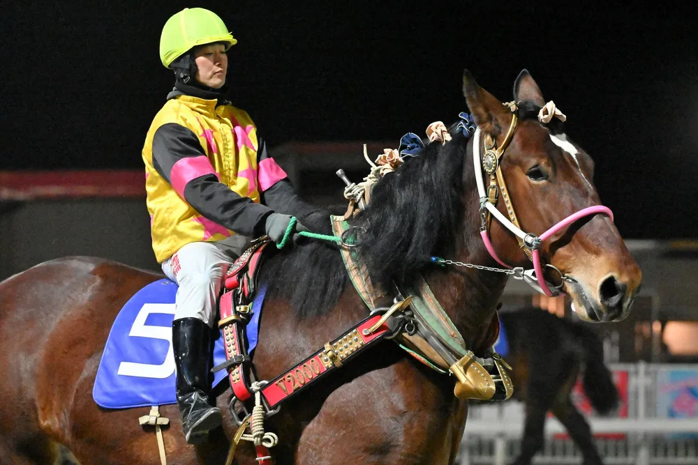 5月10日のレース紹介　カーネーションカップ＜ばんえい競馬＞