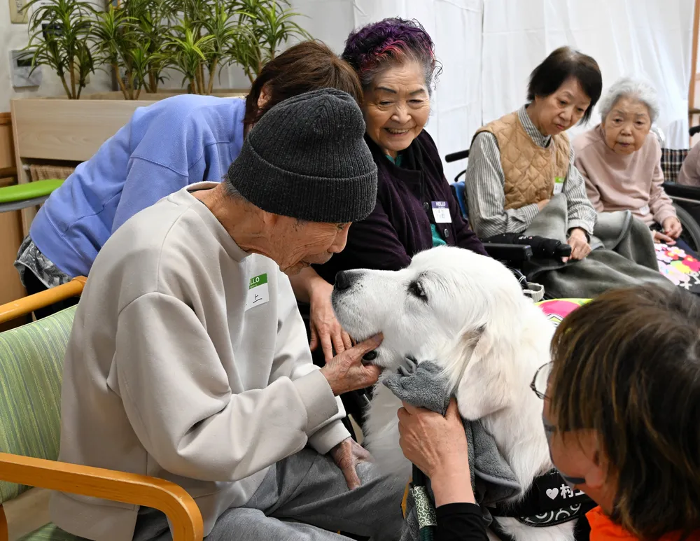 根室管内初、セラピー犬デビュー 中標津、別海の4匹認定 介護施設で