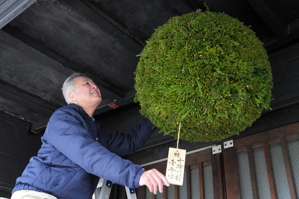 母村の杉玉、新酒の完成告げる 新十津川・金滴酒造＜師走点描2025