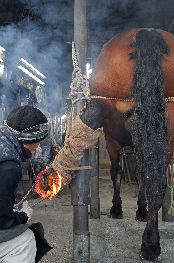 海外輸入 – ばんえい競馬 蹄鉄 美術品・アンティーク・コレクション