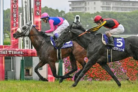 第67回 宝塚記念 単勝 複勝 馬券 メイショウタバル メイショウタバルが2連覇 競馬の第67回宝塚記念：北海道新聞デジタル