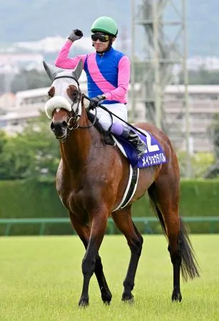 宝塚記念、メイショウタバルがV 競馬、G1初制覇：北海道新聞デジタル