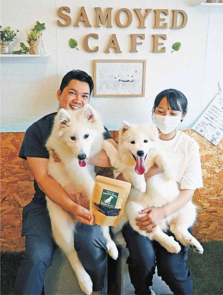 ふわふわ サモエドカフェが北斗に 就労支援B型事業所運営・高橋さん 利用者が運営補助 「癒やされる時間過ごして」:北海道新聞デジタル
