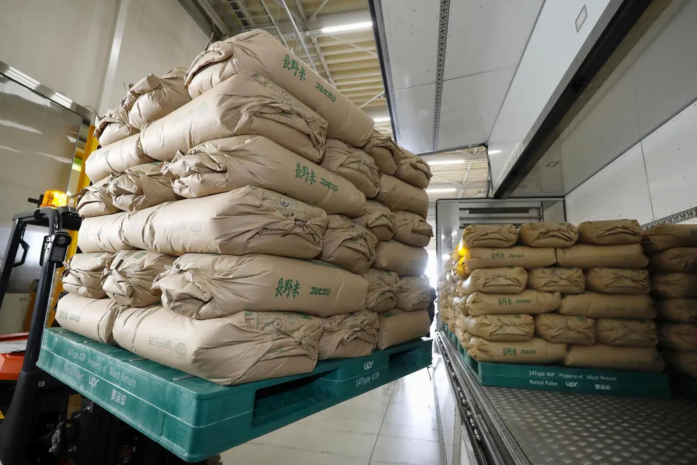 備蓄米 政府備蓄米21万トン買い戻しへ 26年産収量予測「前年並み」以上多く
