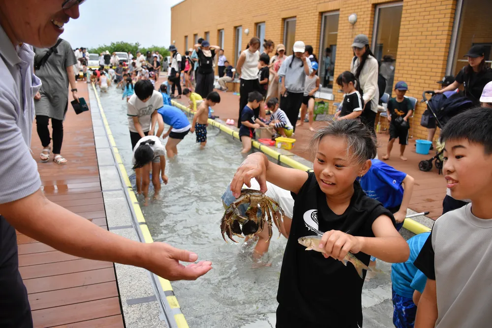 魚介つかみ取り　子どもら歓声　余市・中央水産試験場