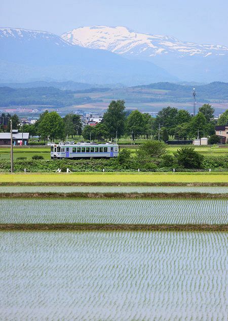 廃線で部活は諦めた」 巨額負担で存続断念のＪＲ留萌線 代替交通は利便