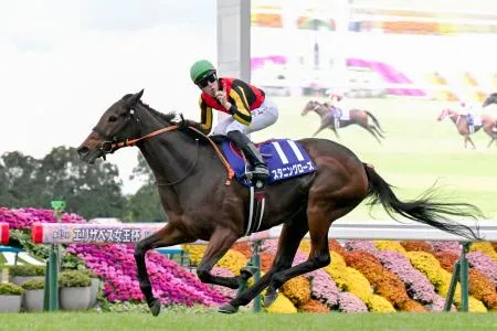 スタニングローズが優勝 競馬のエリザベス女王杯：北海道新聞デジタル