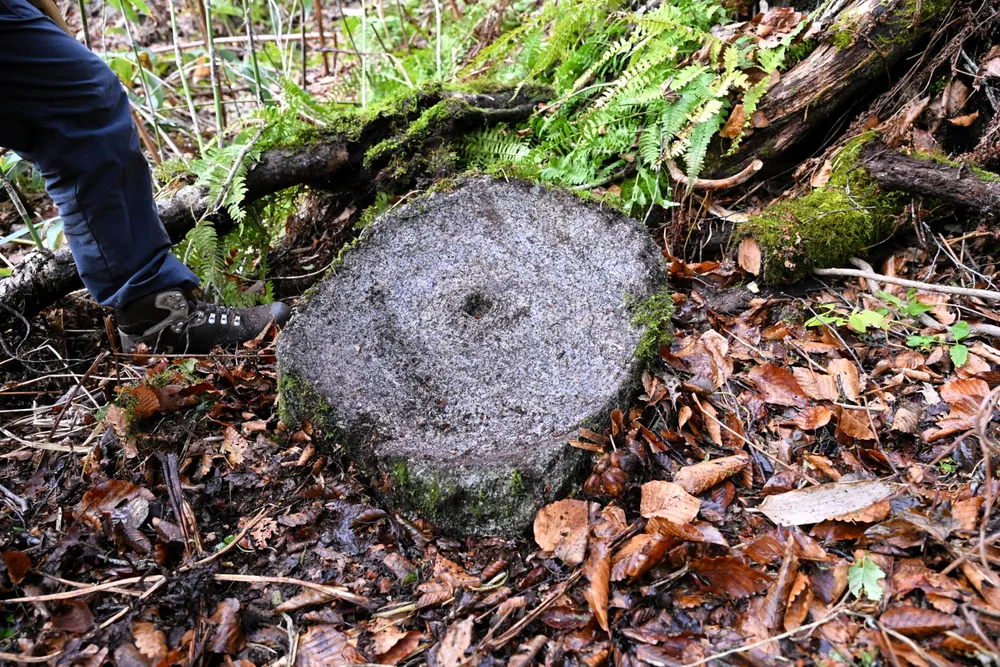 今金・カニカン岳で金の痕跡初確認 古文書の金山記述、30年ぶり調査で