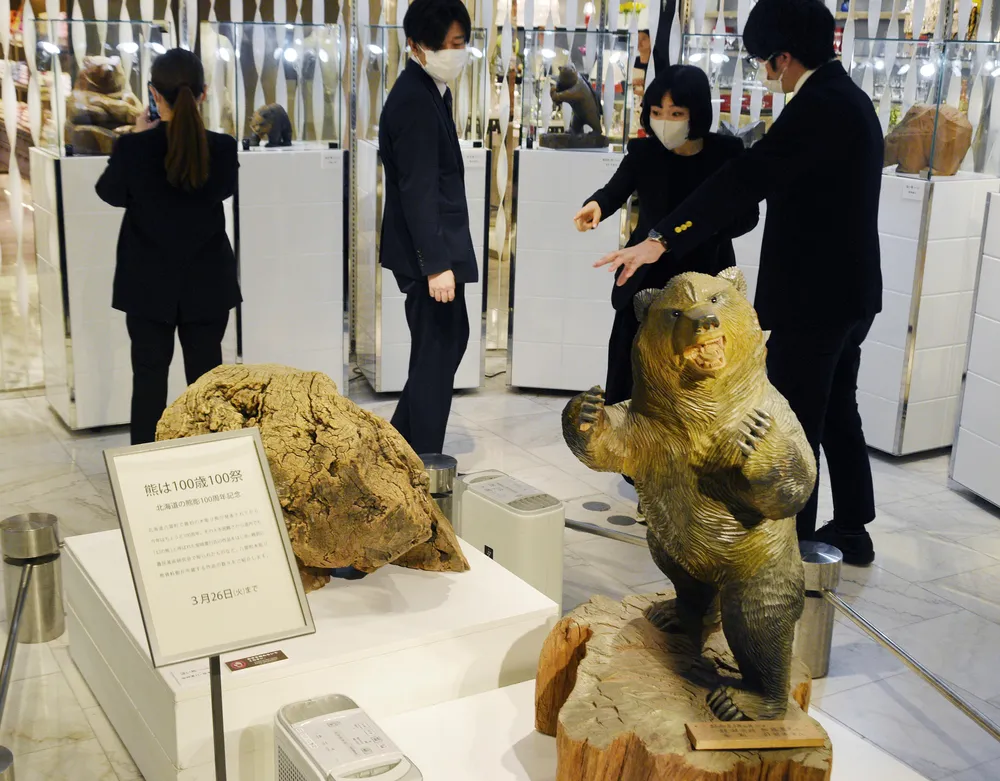 木彫り熊誕生１００年、東京に出没 八雲町資料館所蔵品など展示 ２６日