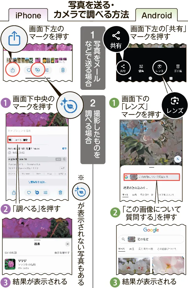 ＜シニアこそスマホ―安全に使おう＞カメラ機能、撮影だけじゃない　写真使って検索、翻訳もできる