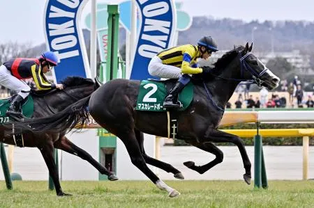 マスカレードボールが優勝 競馬の共同通信杯：北海道新聞デジタル