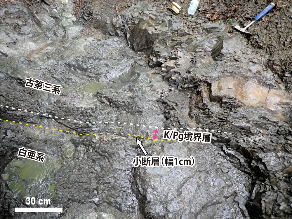 入手不可！小惑星のかけら Ｋ-Ｔ境界層（K/Pg境界頁岩）　標本　中 小惑星衝突の痕跡示す地層、浦幌で新たに発見 北大などの研究グループ