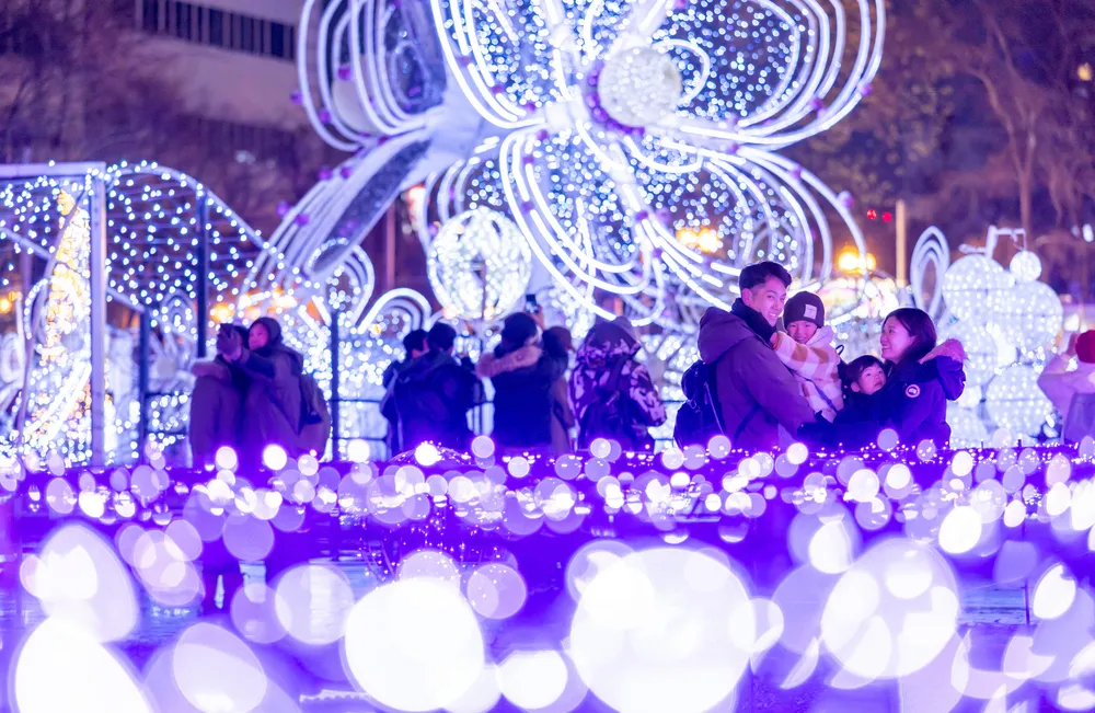 ニュービッグプログラムネット ホワイトLED クリスマスイルミネーション 札幌に光のカーペット、LED77万個輝く ホワイトイルミネーション開幕