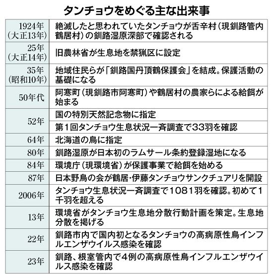 タンチョウ100年・冬>姿を消し再発見 続く地道な保護活動 タンチョウ100年・冬>姿を消し再発見 続く地道な保護活動