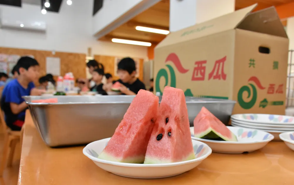 初競りで2玉40万円の「らいでんスイカ」 共和の会社、岩内厚生園の