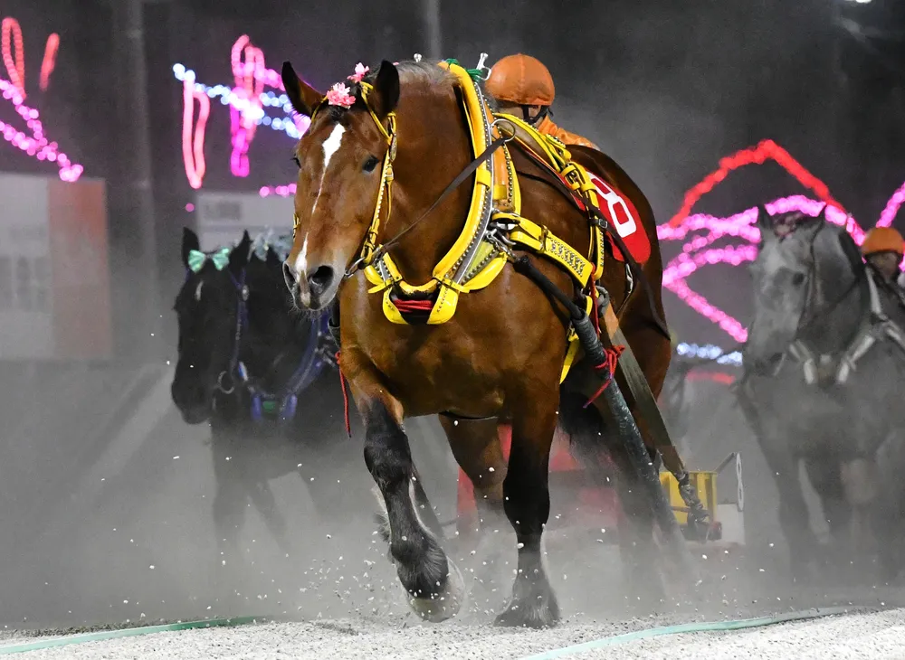 ばんえい競馬名牝　サクラヒメ号蹄鉄 サクラヒメ | 【公式】ばんえい十勝