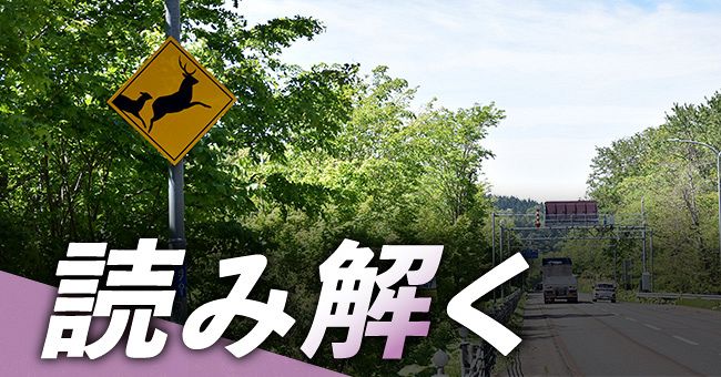 宇野沢デジタル委員が読み解く＞北海道の道に出没！ 気になる「動物