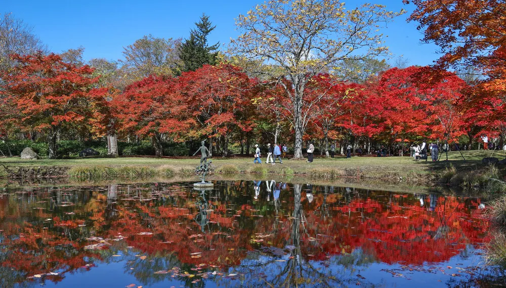 鹿追　福原山荘の紅葉が見頃　300本のモミジ色づく　25日まで無料公開