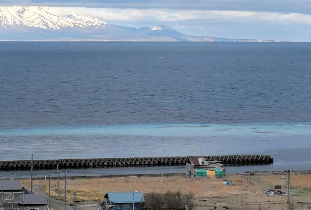 稚内に「春告魚」 ニシン群来、海面200m白濁：北海道新聞デジタル