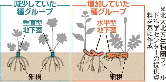 北海道の高山植物（大形本） 創土社 【中古ー非常に良い】 消費