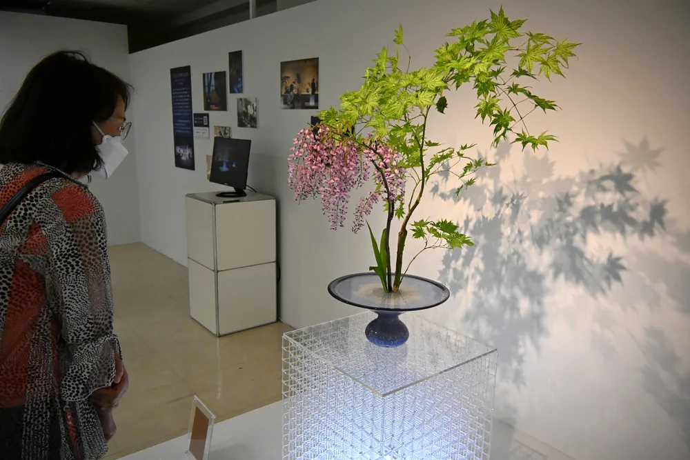 色鮮やかなフジを眺める来場者。カキツバタやシャクヤクなど初夏の花を使った展示が並ぶ